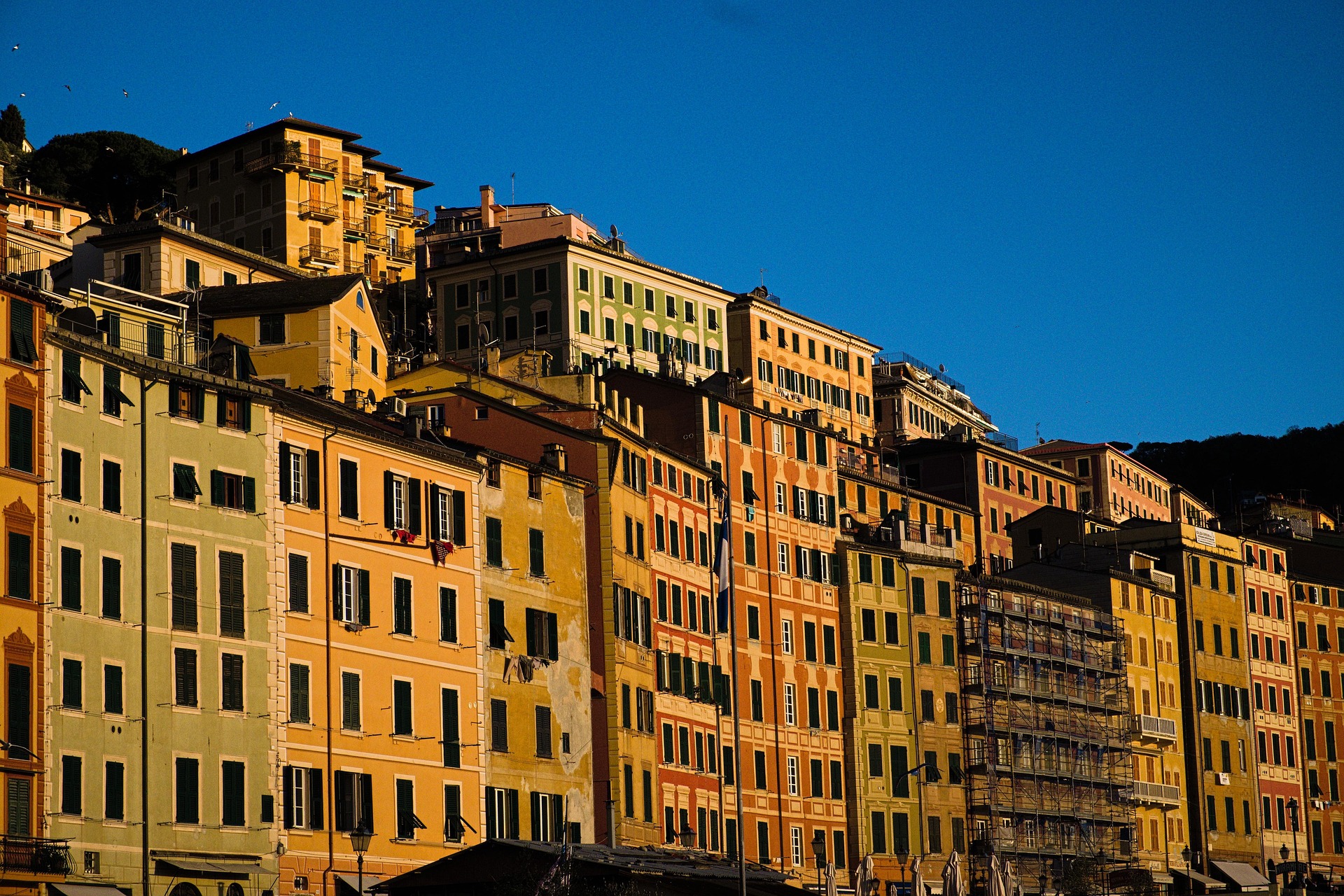Sede Genova Rhinova